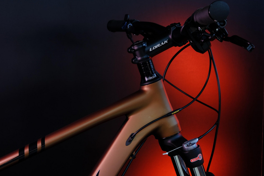 LORAK Sel 9750 SE Матовый Коричневый 17р (на рост 155-173)